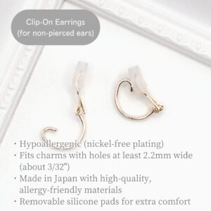 Mainichi Charm